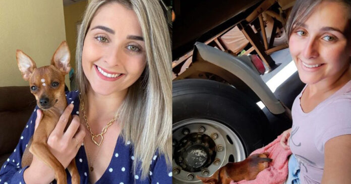 Caminhoneira de 29 anos morre após tombar caminhão na BR-476 Caminhoneira de 29 anos morre após tombar caminhão na BR-476