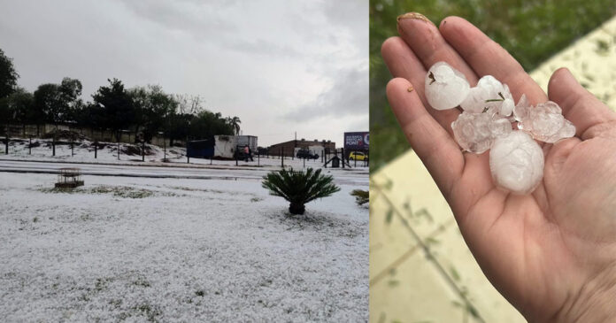 Granizo em Ponta Grossa e moradores correm por lonas; veja imagens