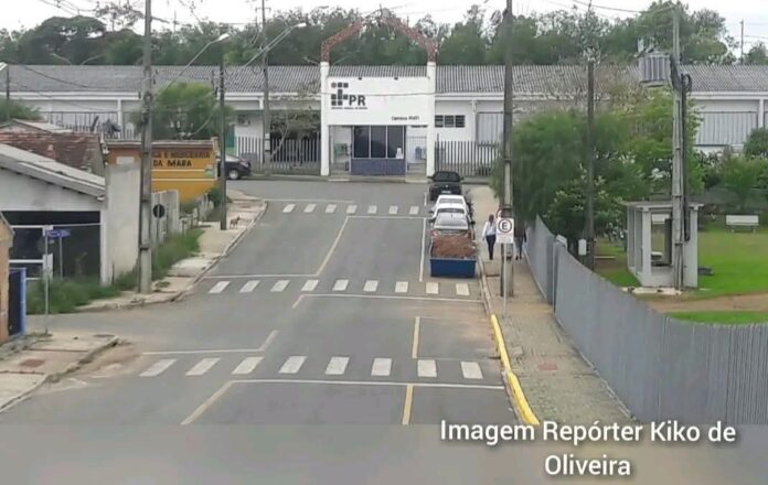 IFPR Irati abre vagas em cursos técnicos por sorteio