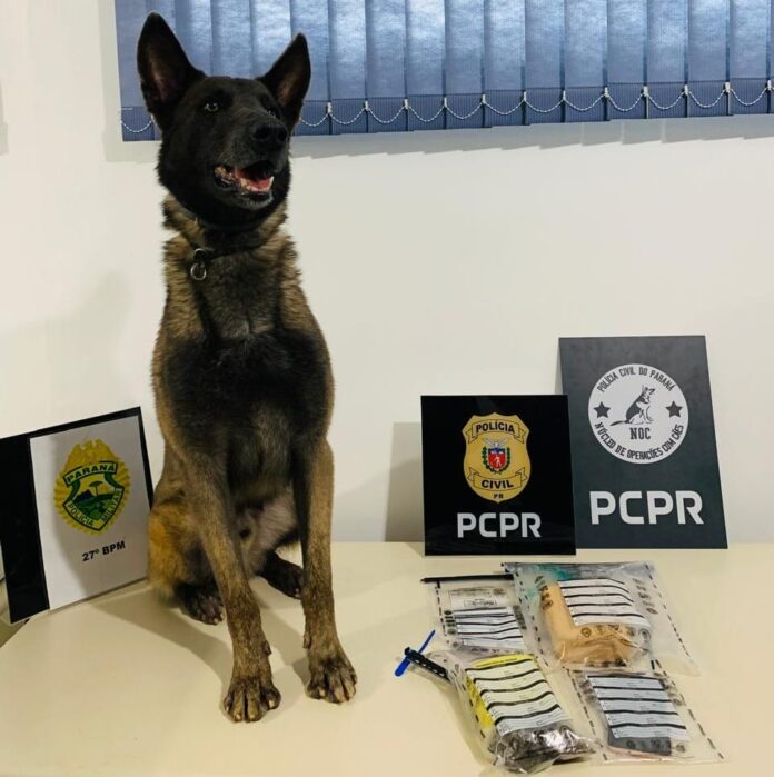 Suspeito de liderar tráfico é preso em São Mateus